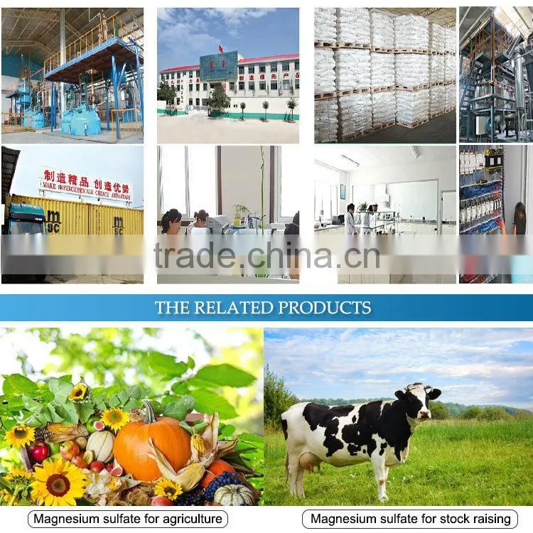 kieserite vegetables fertilizer - Magnesium sulphate monohydrate fertilizer manufacture