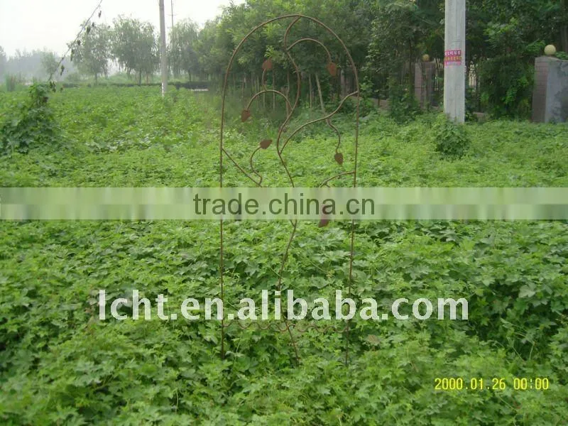 garden trellis,metal flower trellis,metal garden trellis