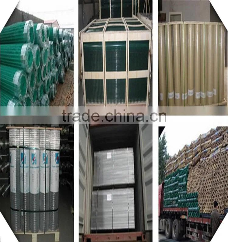 steel bar welded wire mesh/construction reinforcement welded wire mesh
