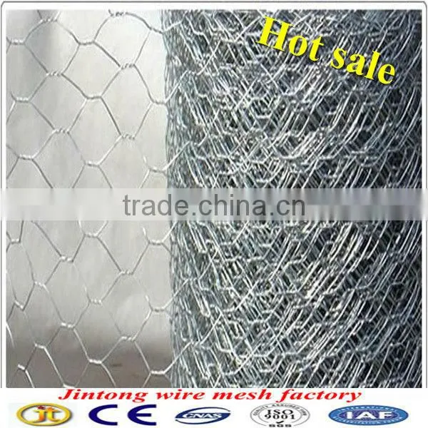 anping jintong bird cage wire mesh/chicken wire Low Price