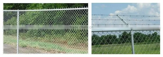 wholesale China CE&ISO certificated pvc coated 1x1 wire mesh fencing(pro manufacturer)