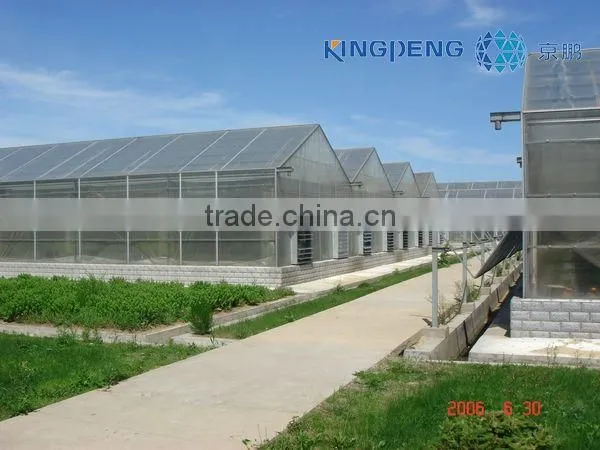 Flower Growing Polycarbonate Greenhouse