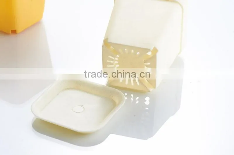 Plastic Colorful Small Square Flower Pots Without Pallet -3 inch