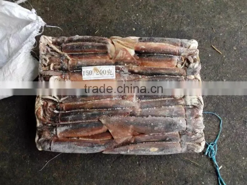 Illex Argentinus Squid Frozen Seafood