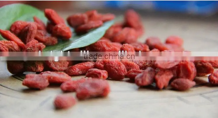 Chinese wolfberry, Medlar,Goji, Food seasoning