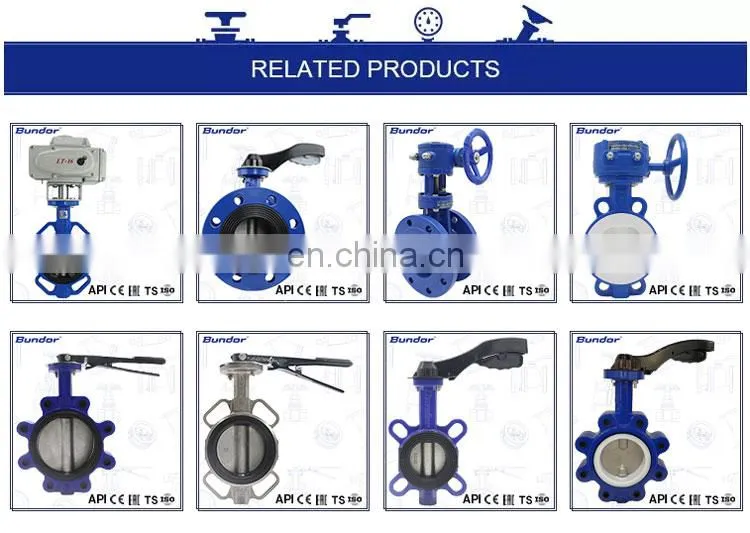 Bundor factory price class150 ductile iron automatic wafer dn80 non return valve