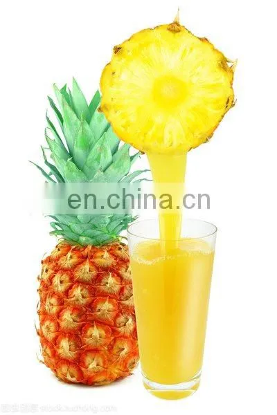 fruit juice sea buckthorn juice juice production line