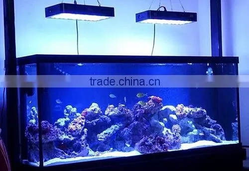 dimmable 16inch 24inch 32inch coral reef led aquarium light, 120w 165w salt water aquarium led light