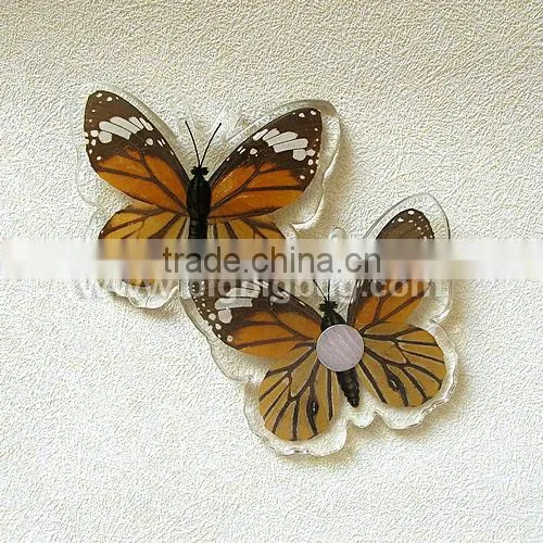 Crystal Real Butterfly Fridge Magnet, Hot sale 2013