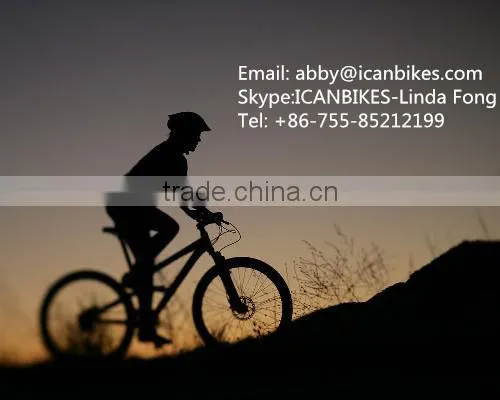 fat bike frame , full carbon fat bike frames, snow bike for sale