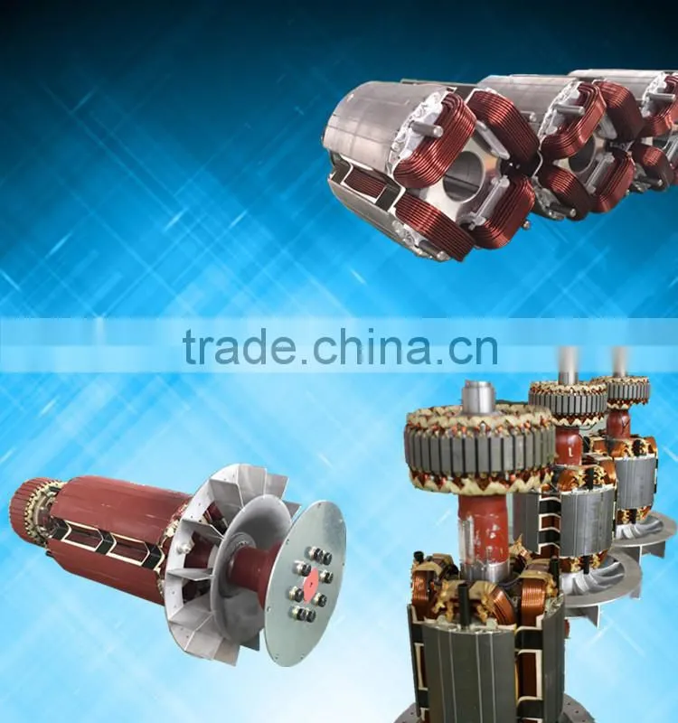 100kw AC Synchronous Brushless Alternator double bearing