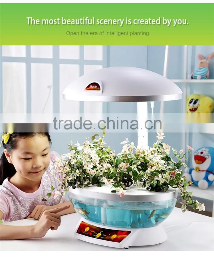grow expand water toys