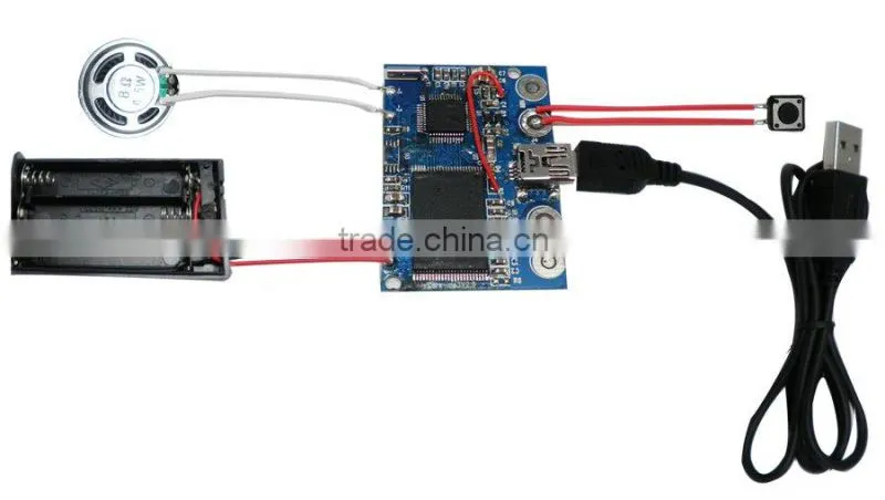 USB talking sound chip with toys