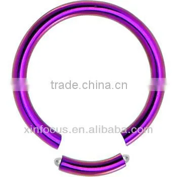 14 Gauge Purple Anodized Titanium Segment Ring_ BCR _Body JewelryD Rainbow