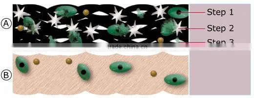 Activated Carbon &Silver wound Dressing