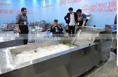 vegetable Bubble Washer machine, CHINA FD, Stainless steel fruit Bubble Washer machine