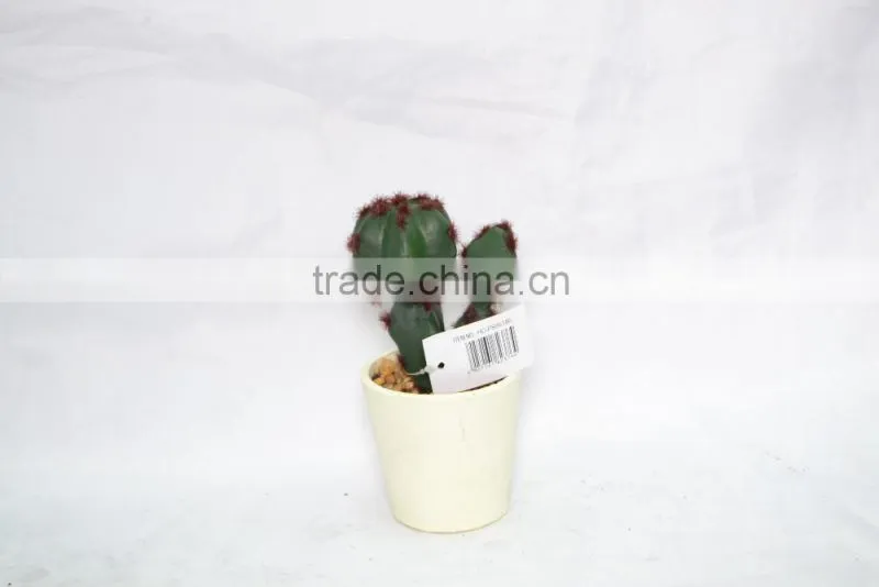 Mini Cactus with cement pot for decoration