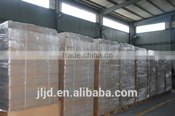 CNG fuel injector rail / rail injectors for lpg cng