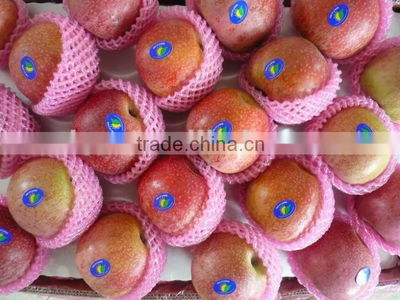 qinguan apple