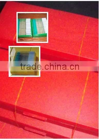 Firm and beauty plastic boxes for prepared slides