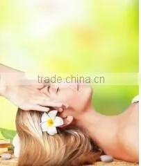 GTO Newest 540 Needle Derma Roller (CE Approval)