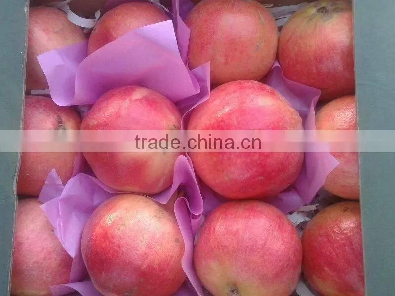 17 Ton / Container Of Fresh Pomegranates