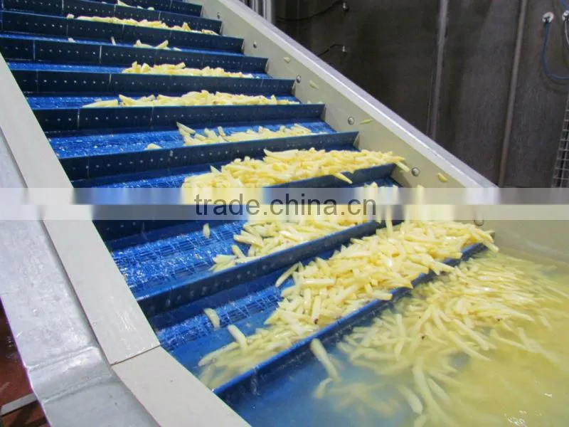 Potato Type and Frozen Style Frozen french fries