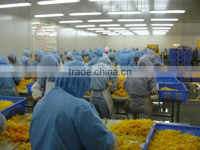 IQF frozen peeled ginger, chinese golden supplier