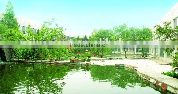 hot selling chinese monosodium glutamate/MSG