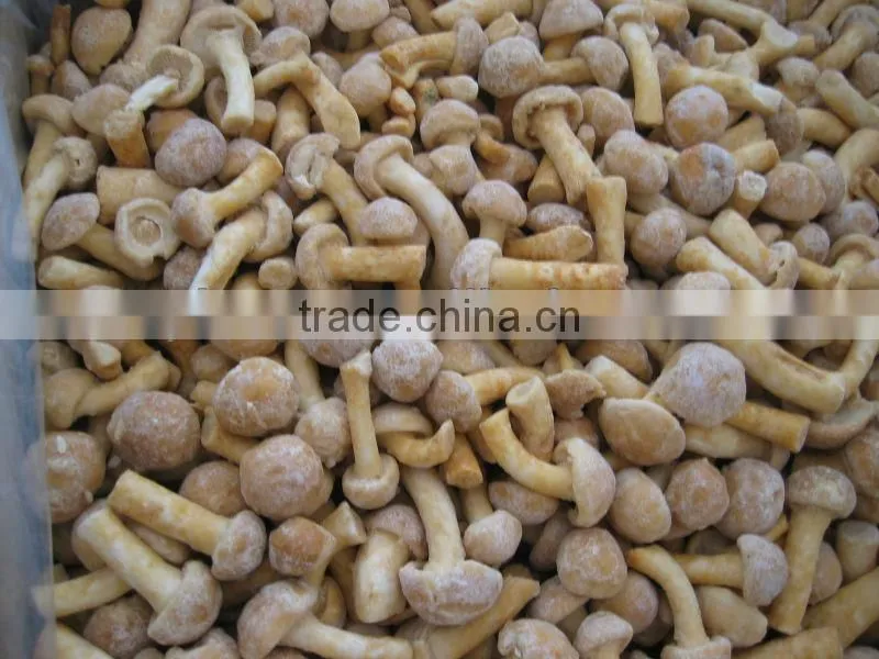 IQF nameko