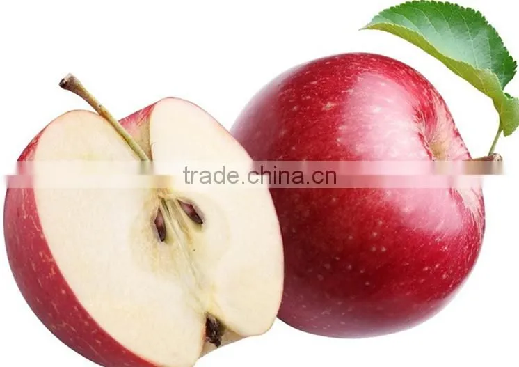 Certified Chinese herbal extract healthy Apple cider vinegar powder Total Acid 5%,8%,10%