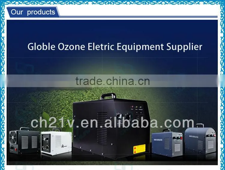 Stronger Sterilizer 2-6G Portable Ozone Machine For Air Purifier And Water Treatment