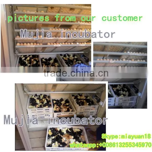 Mujia factory directly sale poultry egg incubator poultry incubator machine