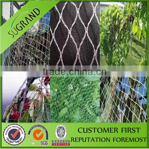 Agriculture Plastic Bird Net Orchard Bird Netting