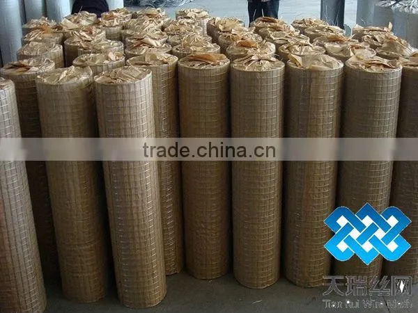 3x3 galvanized weled wire mesh (factory)