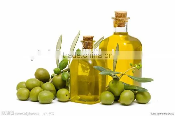 Screw Oil Press Machine