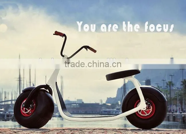 Fahshion 800W/1000W Brushless motor Adult Electric Scooter, 2 Wheels Electric scooter (TKE-S800)