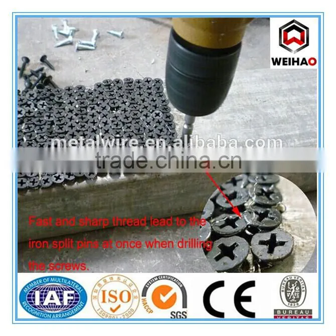 High Qualiy Drywall Screw by Factory