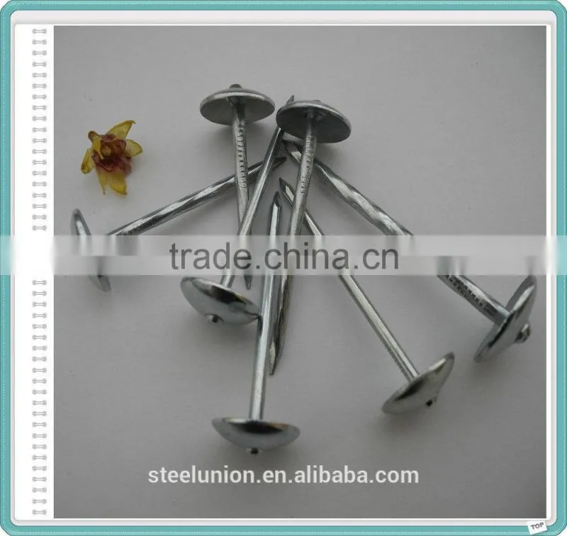 roofing nails/roofing nail supplies