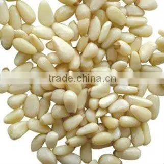 Pine nut kernel