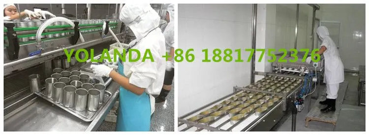 Complete Canned Fish Production Line / Tuna in Oil Production Line