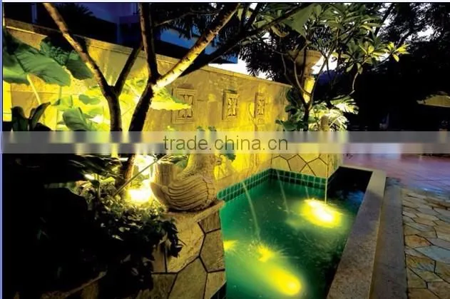 Professional LED focus projection light swimming pool LED light