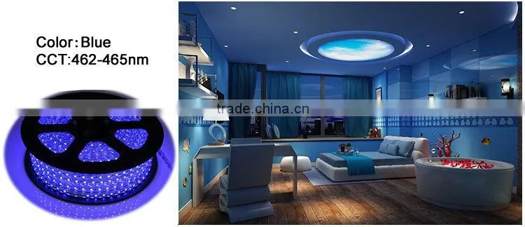 led rope light 5050