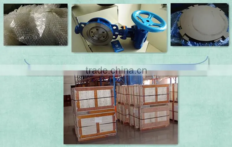 BV-DS046 standard and nonstandard wafer type hard sealing butterfly valve