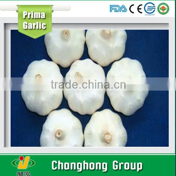 hot sale mesh bag packing 5.0cm garlic