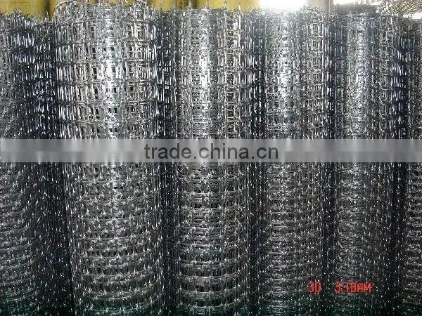 Chinese Geogrid