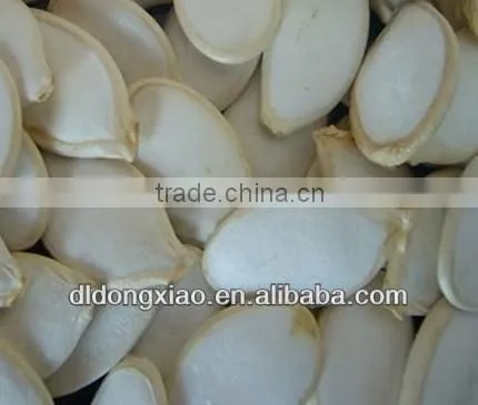 shine skin pumpkin seeds saffron seeds wholesale foam pumpkins