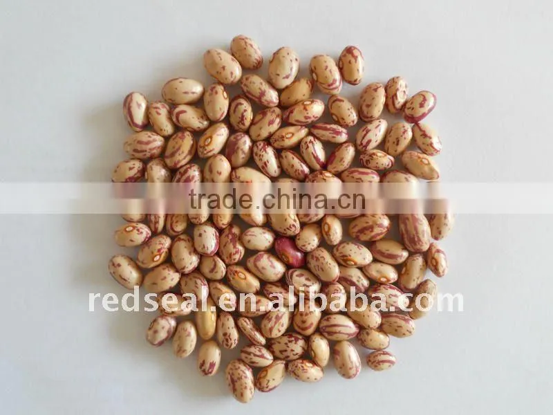 Round shape light speckled kidney beans