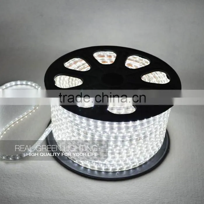 Super bright 110V/220V SMD 3528 Waterproof White LED Strip Light