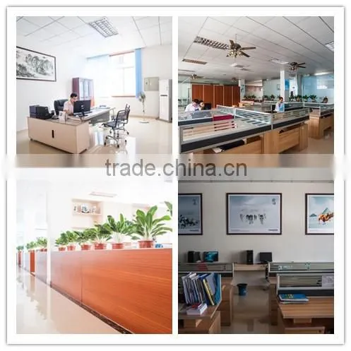China Supplier WT-4C CE Certification and Wall Mounted Installation mist fan